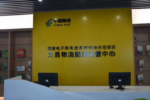 隴南市電商發展局局長劉粉梅一行考核文縣電子商務工作并開展業務指導